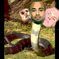 The three-headed cobra of Logan, Lampe, and Gortat