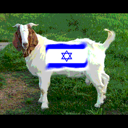 Israel was the Goat of this Kingdom